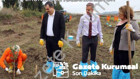 Dalaman Cezaevi Arazisi Sakız Ağaçlarıyla Ekonomiye Kazandırılıyor