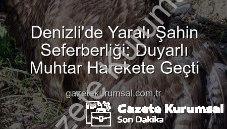 Denizli’de Yaralı Şahin Seferberliği: Duyarlı Muhtar Harekete Geçti