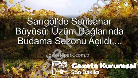 Sarıgöl’de Sonbaharın Büyüsü: Üzüm Bağlarında Kartpostallık Manzaralar Eşliğinde Budama Çalışmaları Başladı