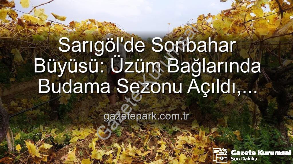 Sarıgöl budama - Sarıgöl'de Sonbaharın Büyüsü: Üzüm Bağlarında Kartpostallık Manzaralar Eşliğinde Budama Çalışmaları Başladı