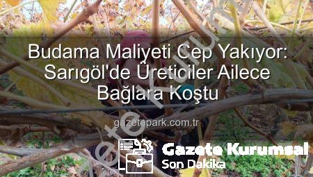 Üzüm Bağlarında Budama Maliyeti Aile Emeğiyle Düşüyor: Sarıgöl’de Üreticiler Kendi Çözümlerini Üretiyor