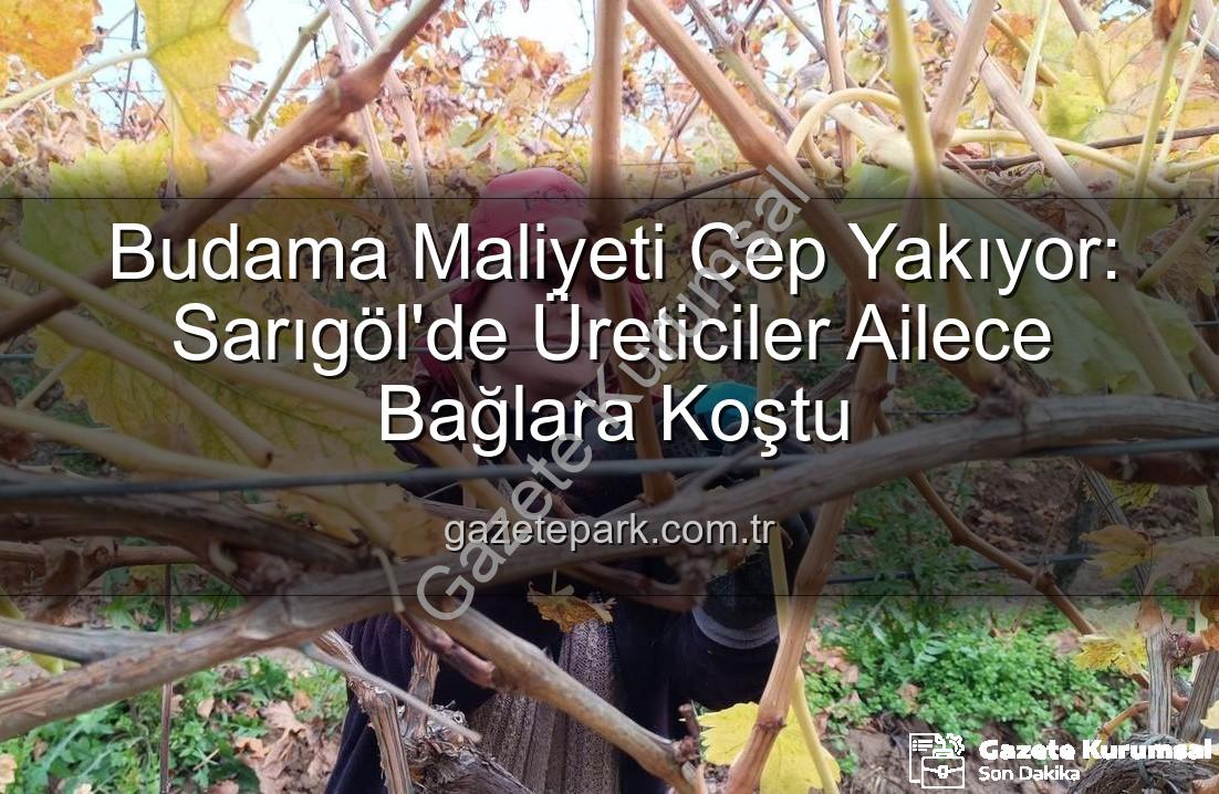 budama maliyeti - Üzüm Bağlarında Budama Maliyeti Aile Emeğiyle Düşüyor: Sarıgöl'de Üreticiler Kendi Çözümlerini Üretiyor