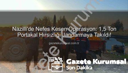 Nazilli’de Nefes Kesen Operasyon: 1,5 Ton Portakal Hırsızlığı Jandarmaya Takıldı!