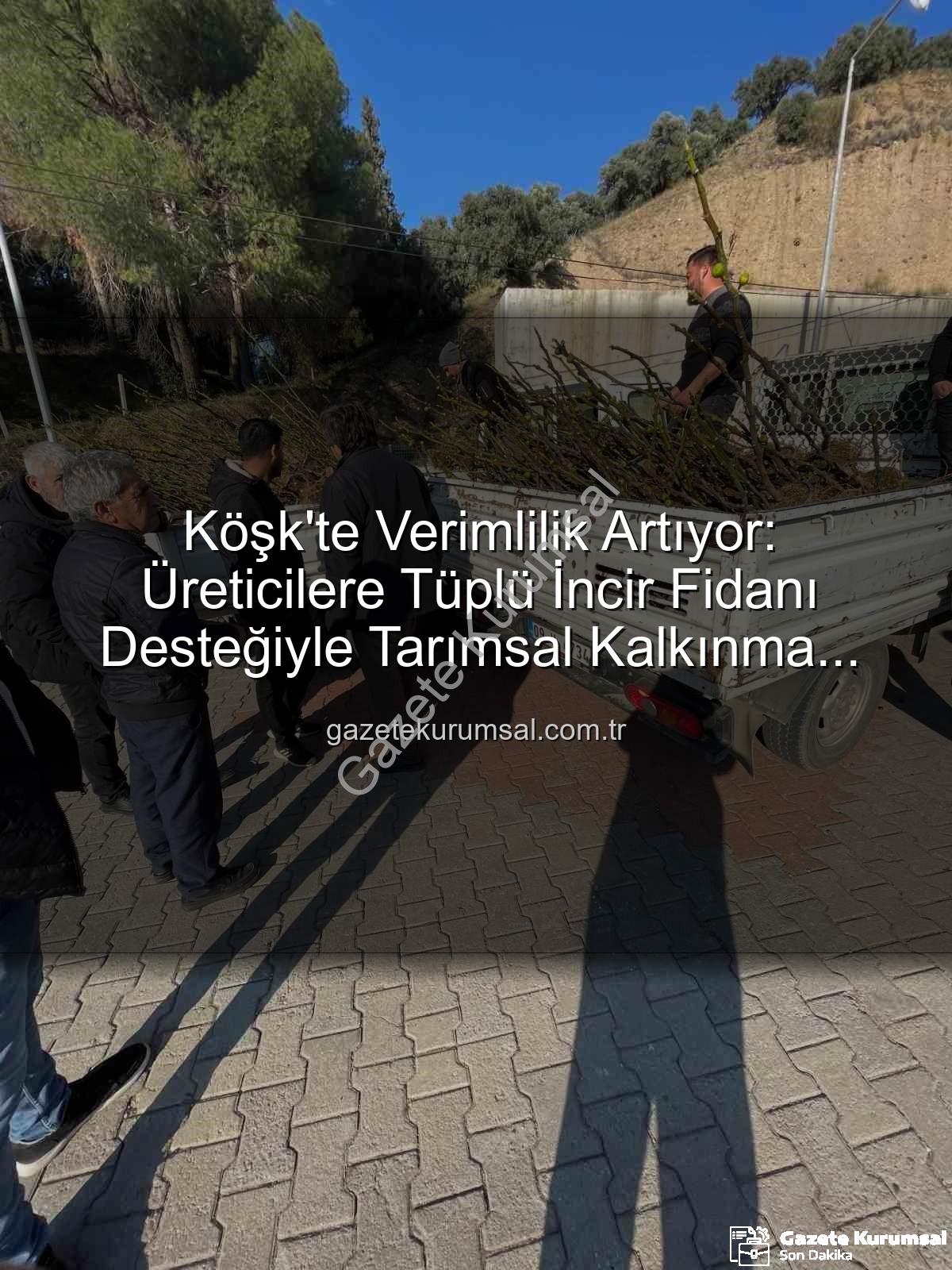 tüplü incir fidanı - Köşk'te Verimlilik Artıyor: Üreticilere Tüplü İncir Fidanı Desteğiyle Tarımsal Kalkınma Hamlesi