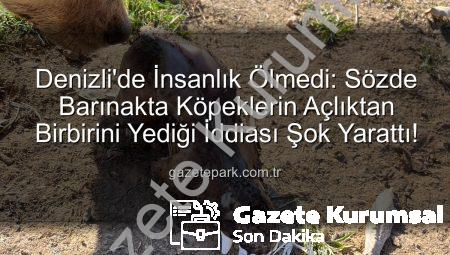Denizli’de Hayvan Sevgisi İstismarı: ‘Sözde Barınakta’ Köpekler Açlıktan Birbirini Yedi