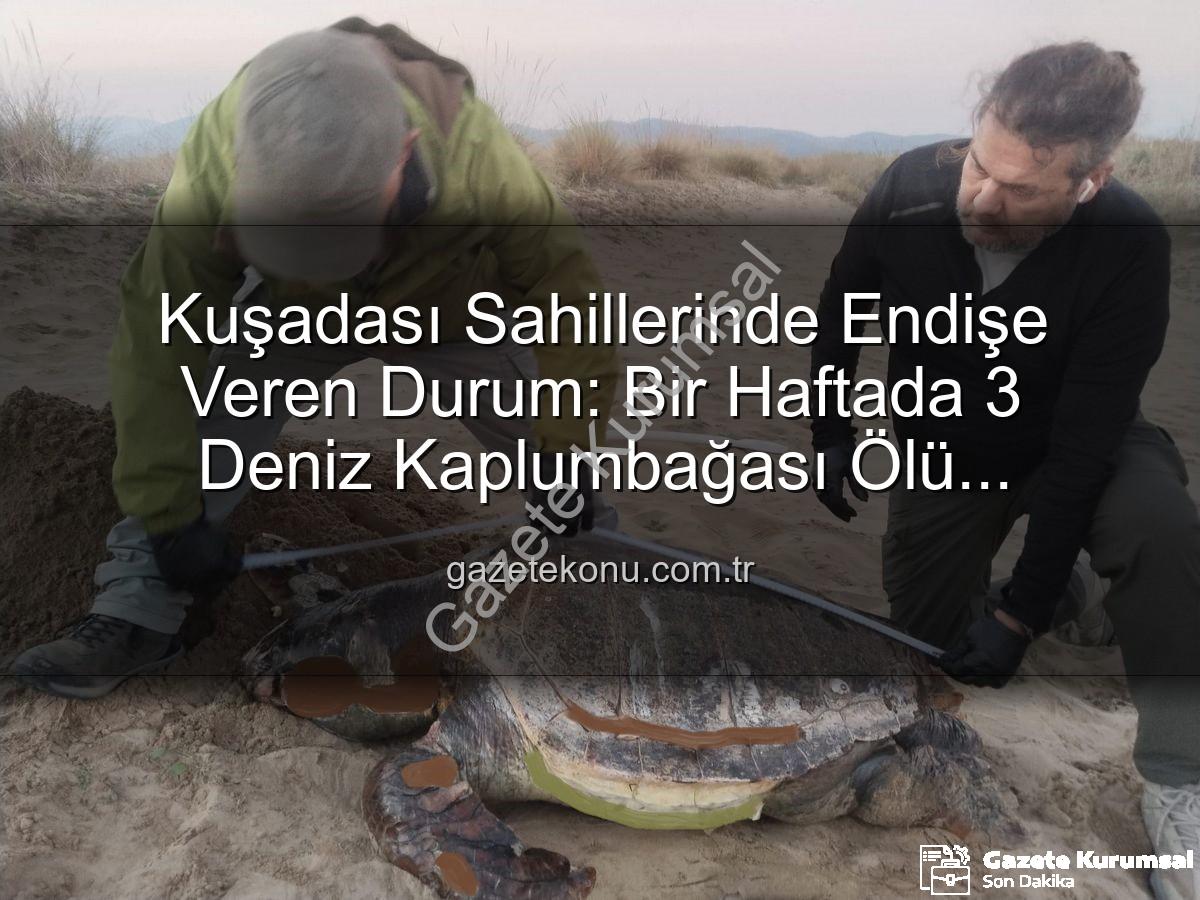 deniz kaplumbağası ölü - Kuşadası Sahillerinde Endişe Veren Kayıp: Bir Haftada 3 Deniz Kaplumbağası Ölü Bulundu