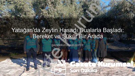 Yatağan’da Zeytin Hasadı Dualarla Başladı: Bereket ve Şükür Bir Arada