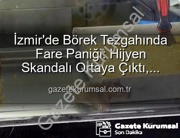 börek tezgahında fare - İzmir'de Börek Tezgahında Fare Paniği: Hijyen Skandalı Ortaya Çıktı, İşletme Mühürlendi
