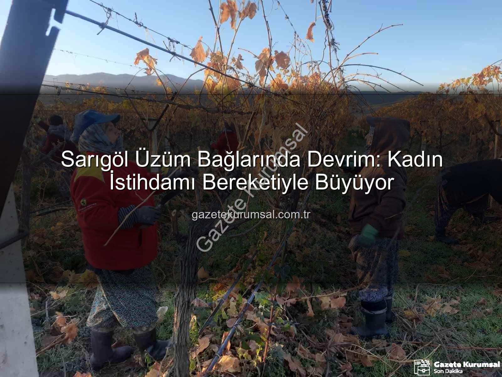 kadın istihdamı - Sarıgöl Üzüm Bağlarında Devrim: Kadın İstihdamı Bereketiyle Büyüyor