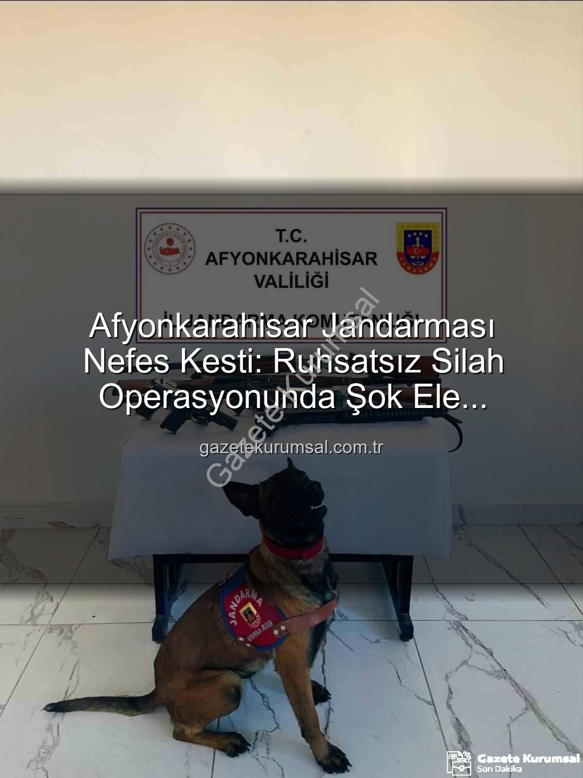 ruhsatsız silah - Afyonkarahisar Jandarması Nefes Kesti: Ruhsatsız Silah Operasyonunda Şok Ele Geçirme!
