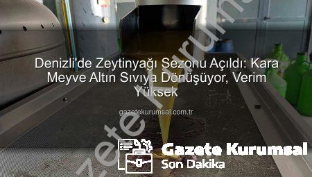Denizli’de Zeytinyağı Sezonu Açıldı: Kara Meyve Altın Sıvıya Dönüşüyor, Verim Yüksek