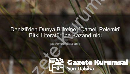 Denizli’den Dünya Bilimine: ‘Çameli Pelemiri’ Bitki Literatürüne Kazandırıldı