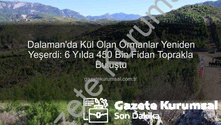 Dalaman’da Kül Olan Ormanlar Yeniden Yeşerdi: 6 Yılda 450 Bin Fidan Toprakla Buluştu