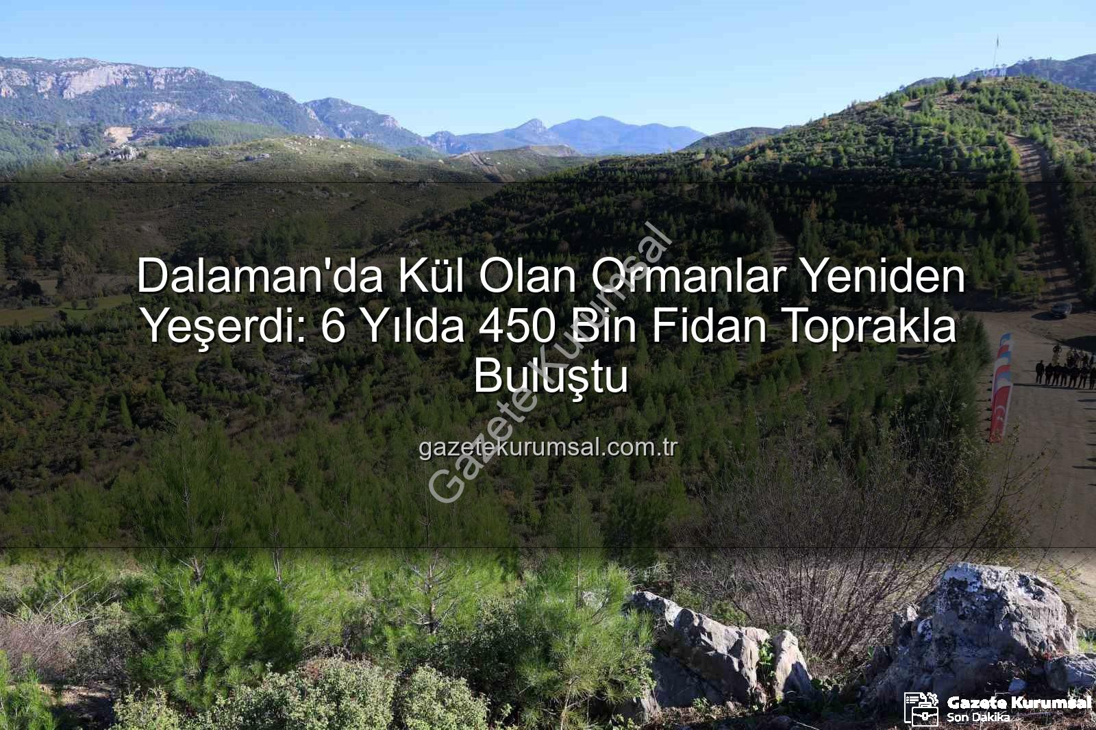 orman yangınları - Dalaman'da Kül Olan Ormanlar Yeniden Yeşerdi: 6 Yılda 450 Bin Fidan Toprakla Buluştu